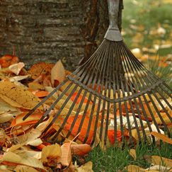 Tipps für die Gartenarbeit im Herbst