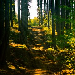 Nachhaltigkeit beim Wandern