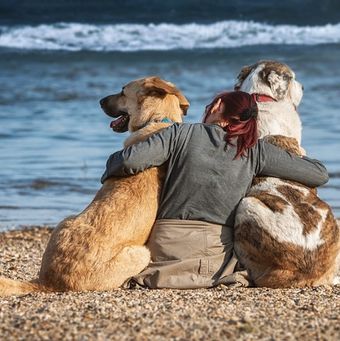 Mit dem Hund in den Urlaub 